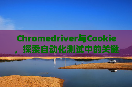 Chromedriver与Cookie，探索自动化测试中的关键元素